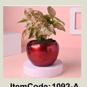 Metal Unique 4" Apple Shape Shine Finish Pot for Home, Office & Garden Decoration Planter, Set of 3(Red, Blue, Silver)