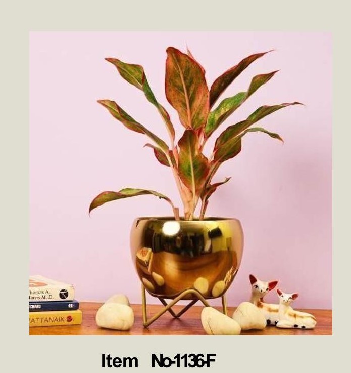 Gold Finish Metal Apple Shape Attractive Planter with Rust Free Metal Stand | Indoor & Outdoor Decor | Size: H*D 15 * 15 cm | Plants Not Included